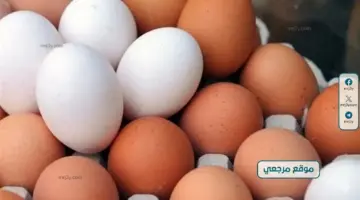 ثبات أسعار البيض مع اقتراب شم النسيم